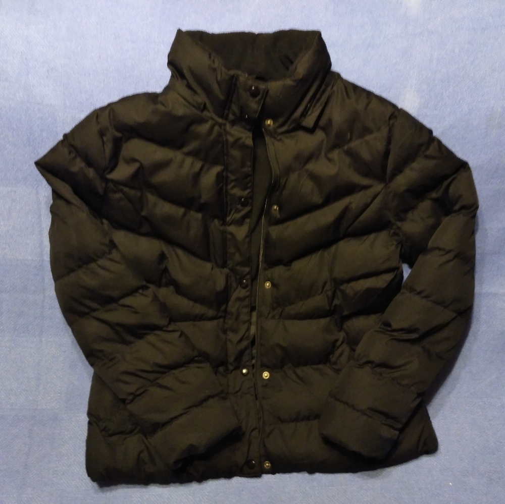 Winter Coat